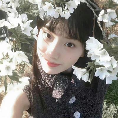 小鸟依人